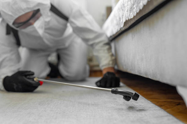 Professional Cockroach Control technician working in Lumberton, NC