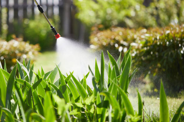24/7 Emergency Cockroach Control experts in Lumberton, NC