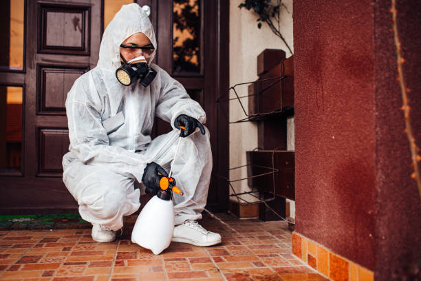 Reliable Cockroach Control contractor in Lumberton, NC by Nex Pest Control